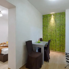 Fontana Hotel 3* Стандартный номер фото 4