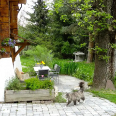 Отель Chalet Les Rindes Нендаз с домашними животными