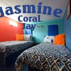 Отель Jasmine Coral Jay Номер категории Эконом с 2 отдельными кроватями фото 5