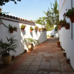 Отель Hostal Cabo Roche питание фото 3