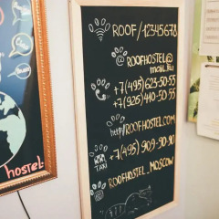 Хостел "Крыша" с домашними животными