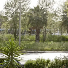 Отель Minavra Hotel Греция, Афины - отзывы, цены и фото номеров - забронировать отель Minavra Hotel онлайн приотельная территория