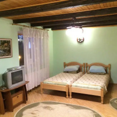 Гостиница Sadyba Novynka комната для гостей фото 3