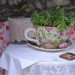 Отель Bujtina Kodiket Guesthouse Албания, Берат - отзывы, цены и фото номеров - забронировать отель Bujtina Kodiket Guesthouse онлайн в номере фото 2