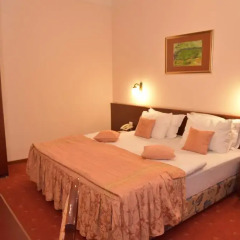 Palace Hotel комната для гостей фото 5