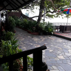 Отель Birds & Bees Resort 3* Люкс с различными типами кроватей фото 12