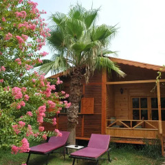Отель Anatolia Resort Бунгало фото 8