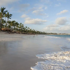 Отель Royalton Punta Cana - All Inclusive Доминикана, Пунта Кана - 1 отзыв об отеле, цены и фото номеров - забронировать отель Royalton Punta Cana - All Inclusive онлайн пляж фото 2