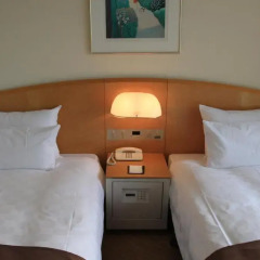 Shinagawa Prince Hotel 3* Стандартный номер с 2 отдельными кроватями фото 21