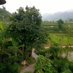 Отель Tavan Heaven Homestay Шапа фото 10