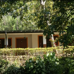 Отель Dell Bungalow