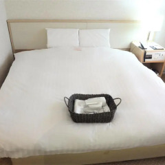 Toyama Chitetsu Hotel 2* Стандартный номер фото 7