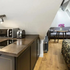 Апартаменты Antique Apartments - Plac Szczepanski Студия с различными типами кроватей фото 25