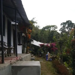 Отель Peace Guest House Pokhara Непал, Покхара - отзывы, цены и фото номеров - забронировать отель Peace Guest House Pokhara онлайн фото 3
