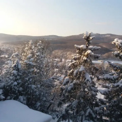 Отель Lillafüred Kapuja Hotel Венгрия, Силвашварад - отзывы, цены и фото номеров - забронировать отель Lillafüred Kapuja Hotel онлайн балкон