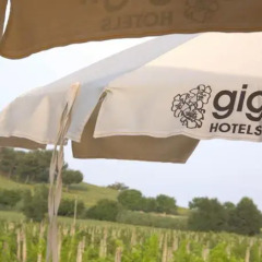 Le Fiabe Hotel Resort Нумана с домашними животными