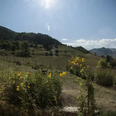 Отель Homestay Süllü Dağ Evi Гиресун балкон
