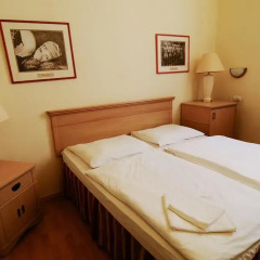 Budapest Csaszar Hotel 3* Стандартный номер с двуспальной кроватью фото 8