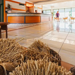 Отель DAS Club Hotel Sunny Beach Болгария, Солнечный берег - отзывы, цены и фото номеров - забронировать отель DAS Club Hotel Sunny Beach онлайн гостиничный бар
