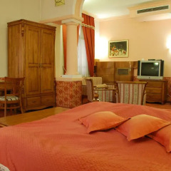 Hotel Restaurant Odeon 3* Люкс с различными типами кроватей фото 8