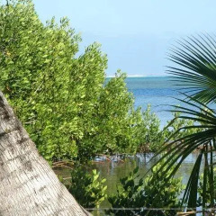 Отель Moorea Surf Bed and Breakfast пляж