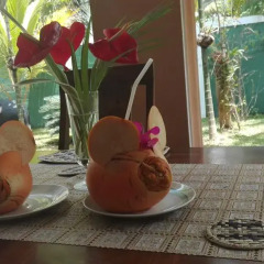Отель Aura Beach Villa Шри-Ланка, Берувела - отзывы, цены и фото номеров - забронировать отель Aura Beach Villa онлайн фото 4