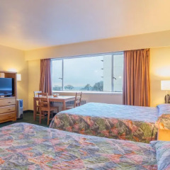 Отель English Bay Hotel Канада, Ванкувер - отзывы, цены и фото номеров - забронировать отель English Bay Hotel онлайн комната для гостей фото 5