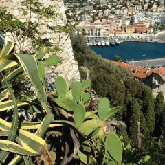 Отель ibis Styles Nice Vieux Port Франция, Ницца - 10 отзывов об отеле, цены и фото номеров - забронировать отель ibis Styles Nice Vieux Port онлайн приотельная территория фото 2