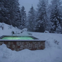 Hotel Terme Antico Bagno Долина Валь-ди-Фасса бассейн