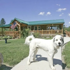 Отель Bobtail Lodge B&B с домашними животными