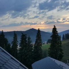 Art Hotel Vykrutasy 3* Люкс с различными типами кроватей фото 16