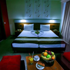 Hotel Forum 3* Номер Делюкс разные типы кроватей фото 9