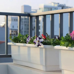 Hanoi Bella Rosa Suite Hotel 3* Стандартный номер с различными типами кроватей фото 6