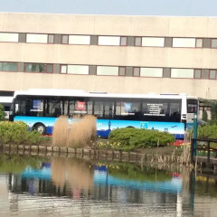Hotel ibis Schiphol Amsterdam Airport 3* Стандартный номер с различными типами кроватей фото 12