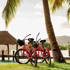 Отель Musket Cove Island Resort & Marina 4* Стандартный номер с различными типами кроватей фото 5