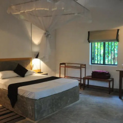 Отель Water's Edge Anuradhapura Шри-Ланка, Анурадхапура - отзывы, цены и фото номеров - забронировать отель Water's Edge Anuradhapura онлайн комната для гостей фото 4