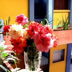 Hotel & Hostal Yaxkin Copan фото 4