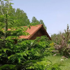 Отель Country Club Primi Faggi Санто-Стефано-ин-Аспромонте пляж