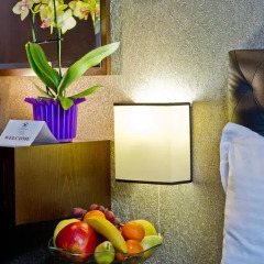 Spa Hotel Sveti Nikola 4* Стандартный номер фото 7