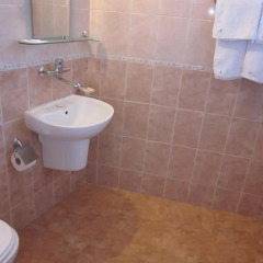 Albatros 2 Family Hotel ванная
