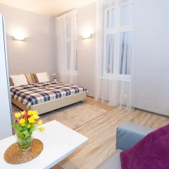 Апартаменты Studio Apartament Centrum Katowice Апартаменты с различными типами кроватей фото 10