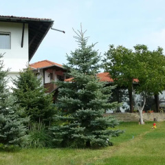 Отель Guest House Debar Велико Тырново фото 9