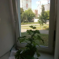 Хостел на Залесской Стандартный номер с 2 отдельными кроватями фото 5