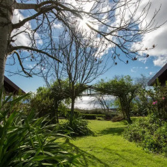 Отель Quinta Dos Curubas фото 5