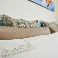 Отель B&B Cavalli & Co Стандартный номер фото 5