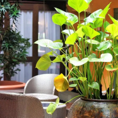 Отель Yeng Keng Hotel Малайзия, Пенанг - отзывы, цены и фото номеров - забронировать отель Yeng Keng Hotel онлайн фото 9