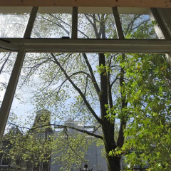 Отель Casa Luna Нидерланды, Амстердам - отзывы, цены и фото номеров - забронировать отель Casa Luna онлайн балкон
