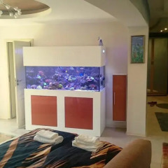 Отель Yassen Holiday Village Солнечный берег интерьер отеля