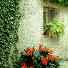 Отель B&B gil d'o Прамаджоре фото 6