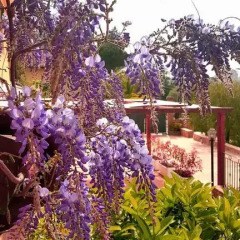 Отель B&B Villa Angela Пьяцца-Армерина фото 8